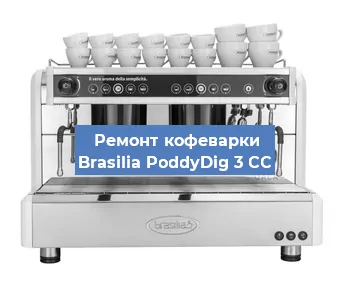 Замена термостата на кофемашине Brasilia PoddyDig 3 CC в Москве